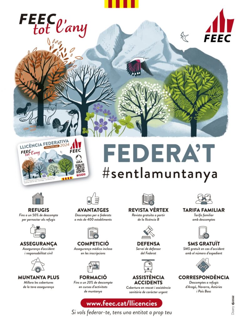 llicència FEEC 2024 (cartell)